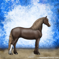 Horse Color:Liver Chestnut 