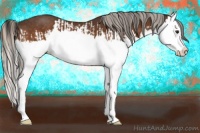 Horse Color:Buckskin Splash  and Silver Buckskin Splash 