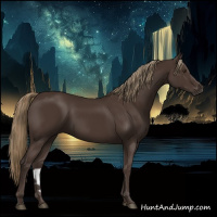 Horse Color:Liver Chestnut Rabicano 