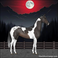 Horse Color:Brown Tobiano