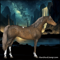 Horse Color:Chocolate Palomino Tobiano 