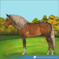 Horse Color:Chocolate Palomino Tobiano Rabicano 