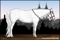 Horse Color:Gray Chestnut Sabino 