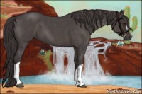 Horse Color:Smoky Blue Roan 