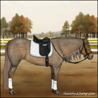 Horse Color:Chocolate Palomino Roan