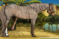 Horse Color:Chocolate Palomino Roan 