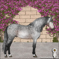 Horse Color:Gray Brown Roan 