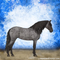 Horse Color:Smoky Blue Roan 