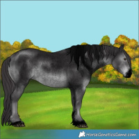 Horse Color:Void Smoky Blue Chinchilla Roan Sabino
