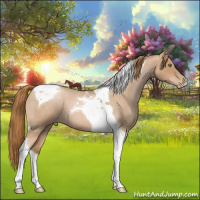 Horse Color:Red Roan Pearl Tobiano 