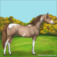 Horse Color:Liver Red Roan Pearl Tobiano Frame 