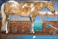 Horse Color:White Spotted Chocolate Palomino Dun Mushroom Tobiano Brindle