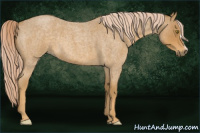 Horse Color:Palomino Roan 