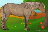 Horse Color:Chocolate Palomino Roan 