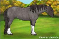 Horse Color:Smoky Blue Roan Tobiano 