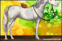 Horse Color:Gold Cream Champagne Pearl Dun 