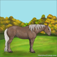 Horse Color:Silver Black 
