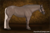 Horse Color:Silver Black 