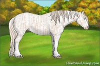 Horse Color:Perlino Sabino  and Perlino Sabino Frame 