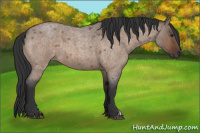 Horse Color:Brown Roan Dun 