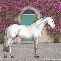 Horse Color:Gray Red Dun 