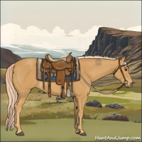 Horse Color:Palomino 