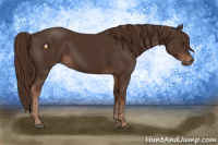 Horse Color:Liver Chestnut  and Liver Chestnut 