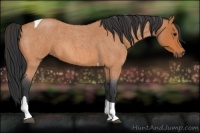 Horse Color:Bay Roan Tobiano 