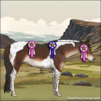 Horse Color:Liver Chestnut Tobiano 