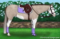 Horse Color:Classic Champagne Roan Splash 