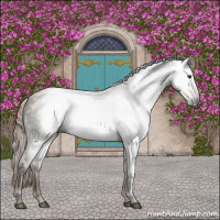 Horse Color:Gray Chocolate Palomino 
