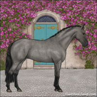 Horse Color:Gray Grullo Roan 