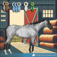 Horse Color:Blue Roan Rabicano 