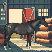 Horse Color:Blue Roan Rabicano 