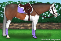 Horse Color:Brown Roan Splash 