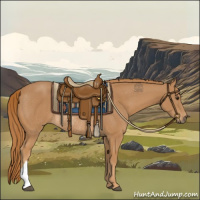 Horse Color:Chestnut Rabicano