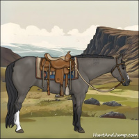 Horse Color:Grullo 