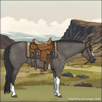 Horse Color:Grullo 