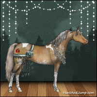 Horse Color:White Spotted Silver Buckskin Dun Tobiano Rabicano 