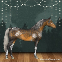 Horse Color:White Spotted Silver Buckskin Tobiano 