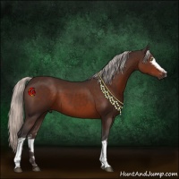 Horse Color:White Spotted Silver Brown 