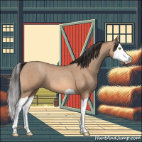 Horse Color:Amber Champagne Splash 
