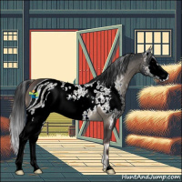 Horse Color:ERROR: UNKNOWN ANOMALY