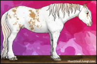 Horse Color:Palomino Sabino 