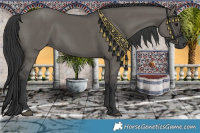 Horse Color:Grullo 