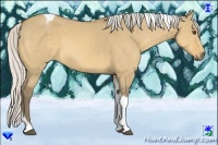 Horse Color:Silver Buckskin Dun Tobiano 