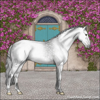 Horse Color:Gray Brown 