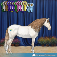Horse Color:Buckskin Roan Pearl Dun
