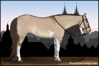 Horse Color:Liver Red Dun Tobiano 