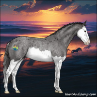 Horse Color:Smoky Blue Roan Splash Rabicano 